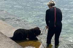 IMG-20230514-WA0030