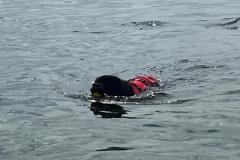 IMG-20230514-WA0040