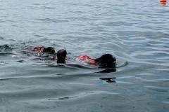 IMG-20230514-WA0073