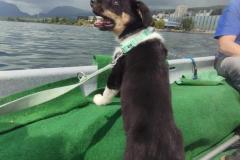 IMG-20230514-WA0234