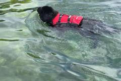 IMG-20230514-WA0257