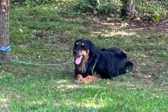 IMG-20231002-WA0003