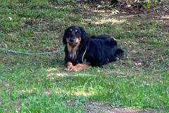 IMG-20231002-WA0004