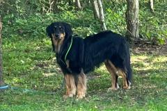 IMG-20231002-WA0005