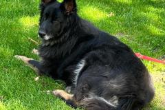 IMG-20231002-WA0006