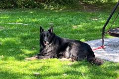 IMG-20231002-WA0010