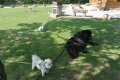 IMG_20230930_125600
