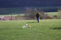 IMG_5762