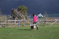 IMG_5799