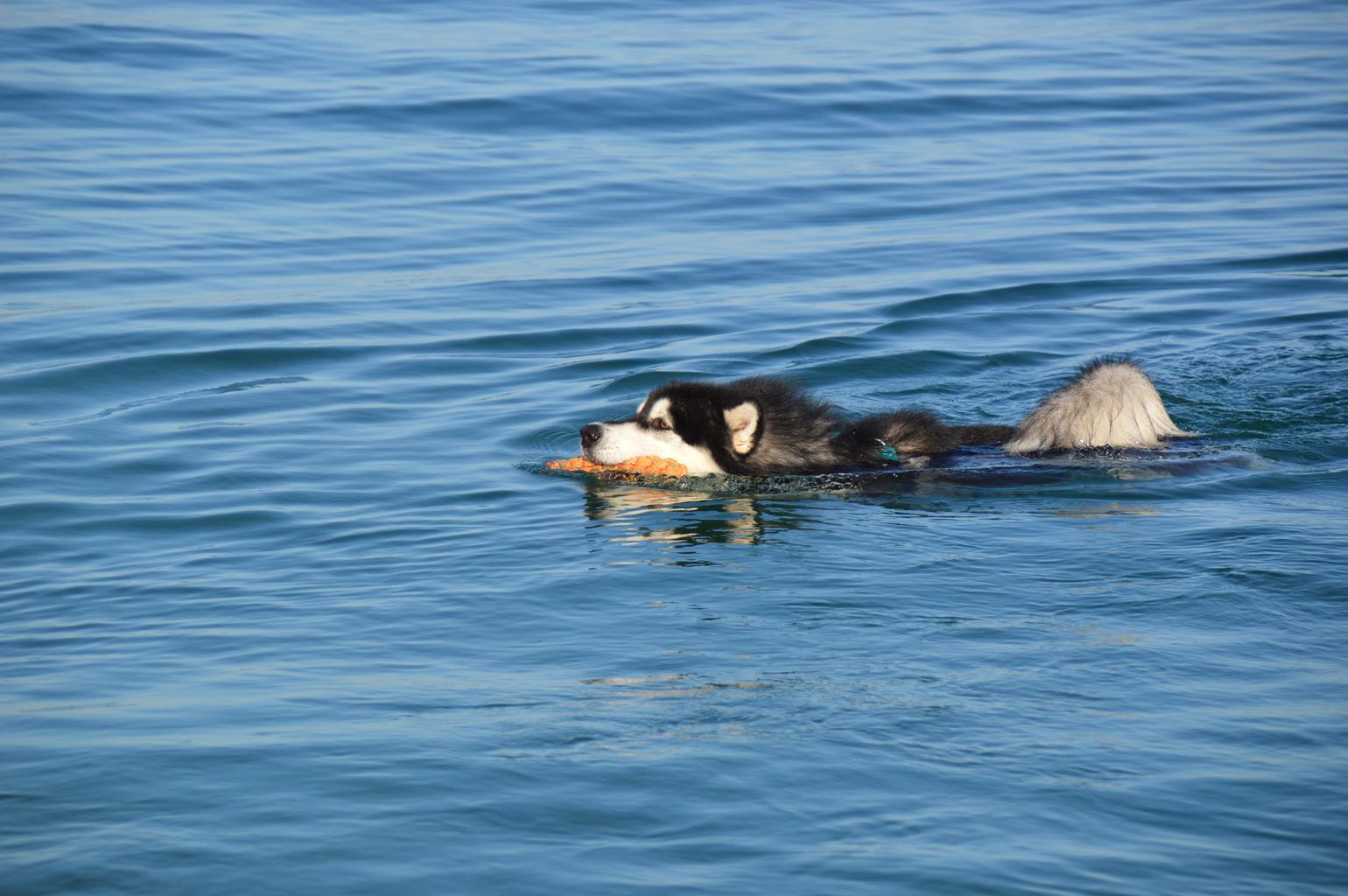 DSC_0127