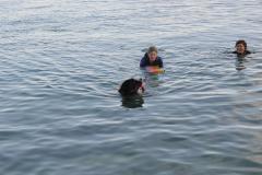 DSC_0158