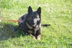DSC_0005