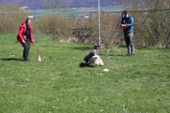 IMG_6663