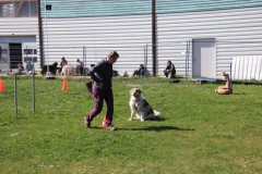 IMG_6670