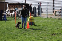 IMG_6678