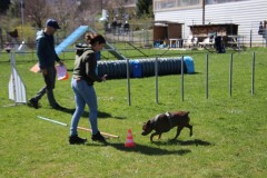 IMG_6681