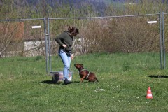 IMG_6682