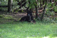DSC_0168-Grand