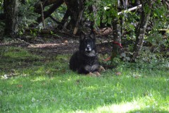 DSC_0172-Grand