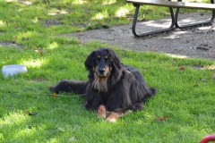 DSC_0173-Grand