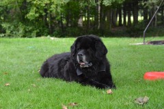 DSC_0229-Grand