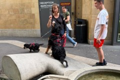 IMG-20260616-WA0013