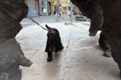 IMG-20260616-WA0017