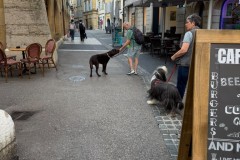 IMG-20260616-WA0030