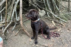 IMG-20260616-WA0038