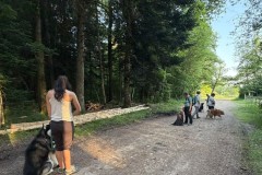 IMG-20260616-WA0040