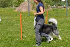 DSC_0024